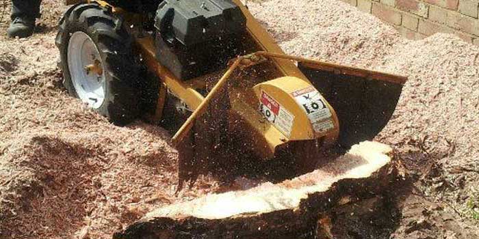 stump grinder